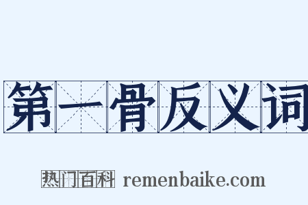 第一骨反义词是什么意思的图片